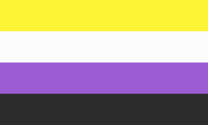 400px-Nonbinary_flag.svg